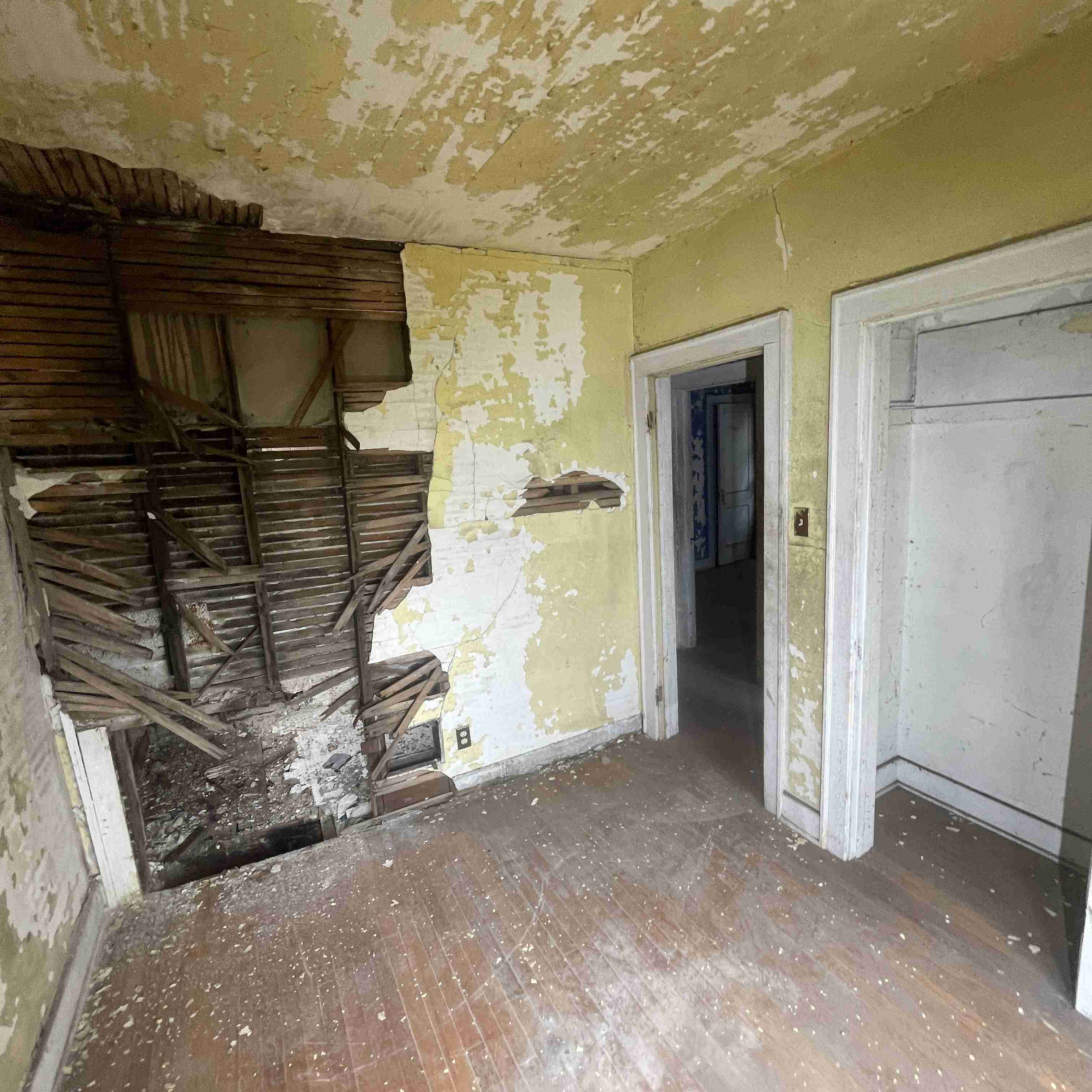 4039 Tuxedo (82).jpg